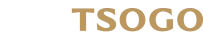 playTSOGO casino logo home page